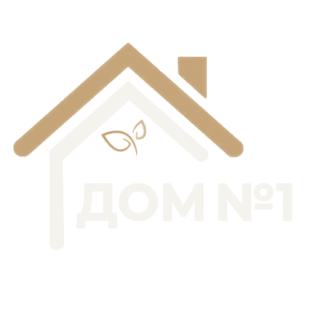 ДОМ №1